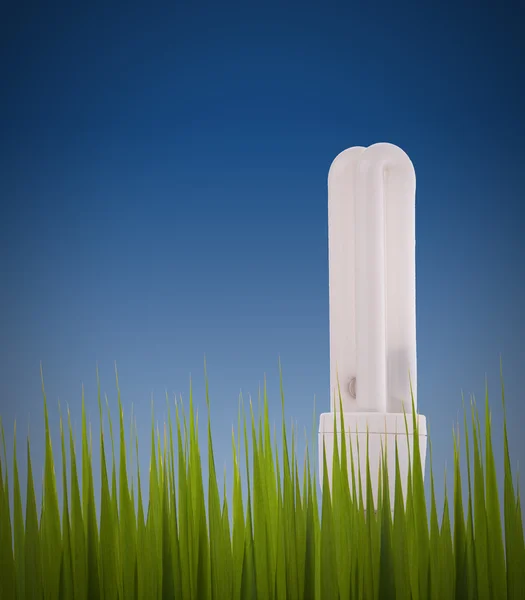 Lámpara fluorescente en hierba — Foto de Stock