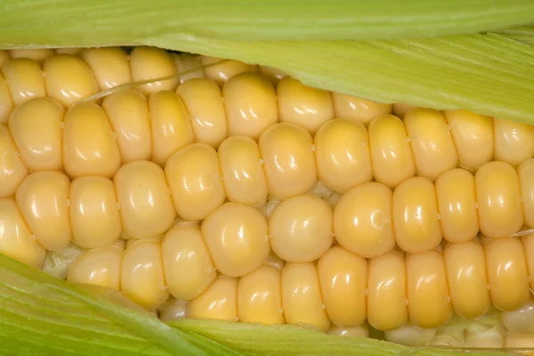 Žlutá kukuřice conrs v zelené leves — Stock fotografie