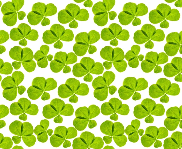 Tiled background with green clover leaves — Stock Photo, Image