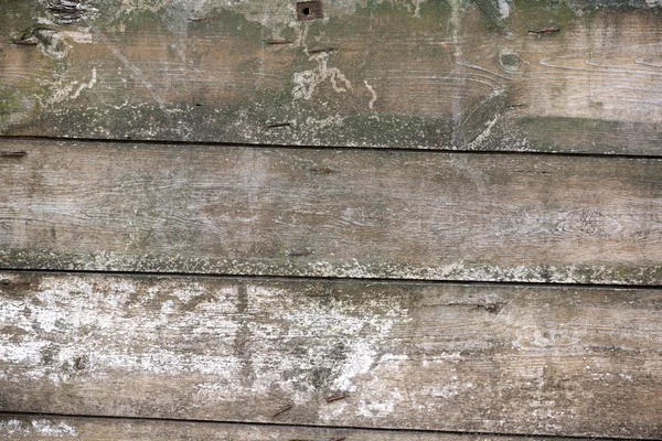 Old dry plank texture — Stock Photo, Image