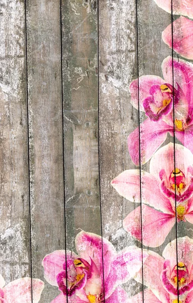 Сухая текстура дерева и розовые орхидеи — стоковое фото