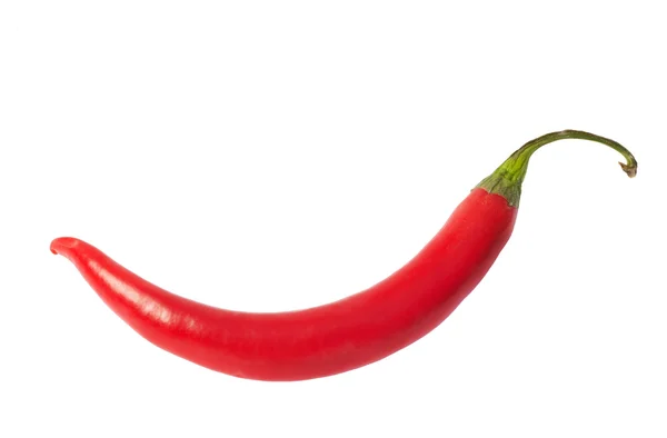 Jeden na białym tle czerwone chili pieprz — Zdjęcie stockowe
