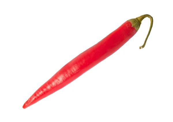 Single red chilli pepper on white — Stock Photo, Image
