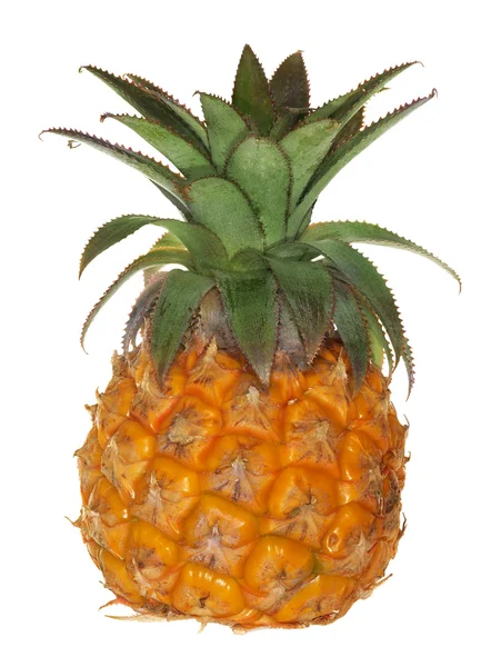 Altın tek ananas üzerinde beyaz izole — Stok fotoğraf