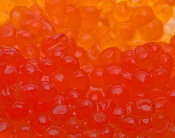 Red salmon caviar background Stock Image
