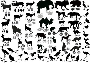 Black birds and animals with tracks clipart