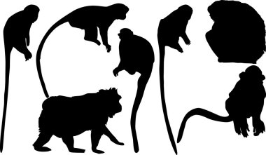 seven monkey silhouettes clipart