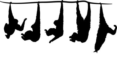 five monkey silhouettes clipart