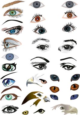 set of humal and animal eyes clipart