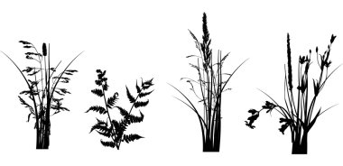 set of grass silhouettes isolated on white clipart