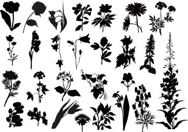 collection of black flower silhouettes clipart