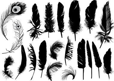 twenty black isolated feathers clipart