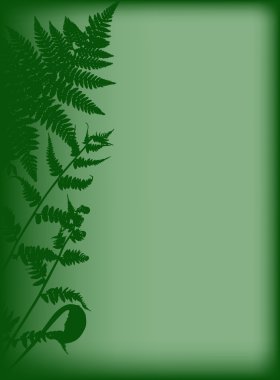 green illustration with fern clipart