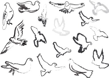Güvercin skeçler koleksiyon üzerinde beyaz izole