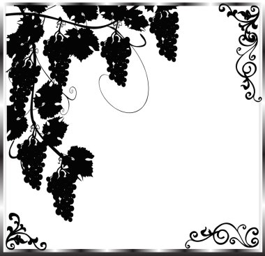 grapes and vine black frame clipart