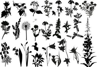 collection of wild flowers silhouettes clipart