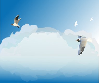 seagulls in cloud sky clipart