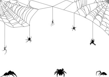 eight spiders in web illustration clipart