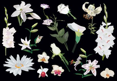 light flowers on black large collection clipart