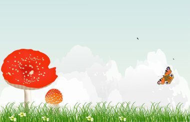 mavi gökyüzünün altında kırmızı fly-agaric