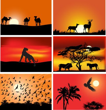 set of six animals at sunset compositions clipart