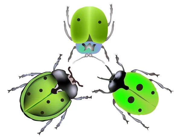 Three green bugs on white — Stock Vector