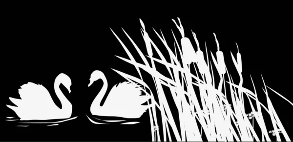 Two swan silhouettes on black background — Stock Vector