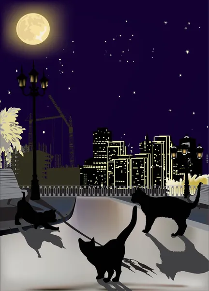 Drie katten in de nacht stad — Stockvector