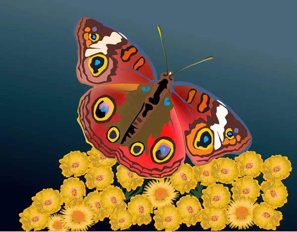 Mariposa roja sobre flores amarillas ilustración — Archivo Imágenes Vectoriales