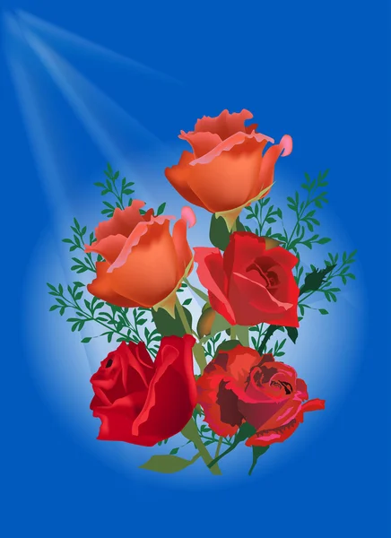 Five red roses on blue background — Stock Vector