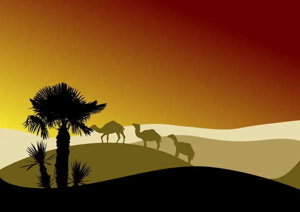 Camel caravan in sunset desert — Stock Vector