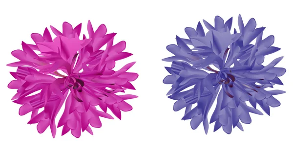 격리 된 핑크와 라일락 cornflowers — 스톡 벡터