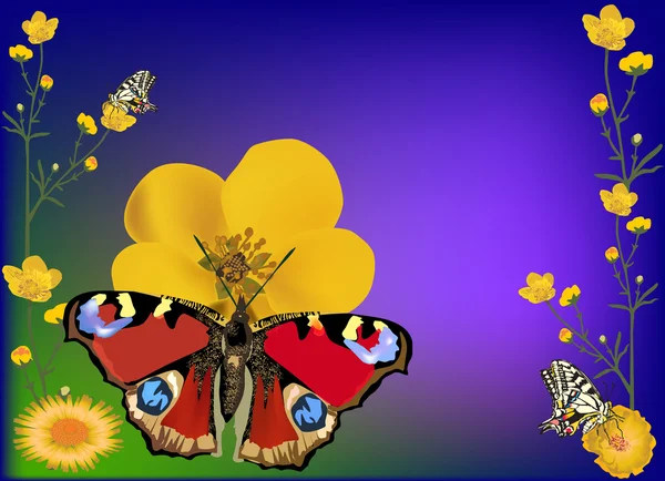 Gelbe Butterblumen und roter Schmetterling — Stockvektor