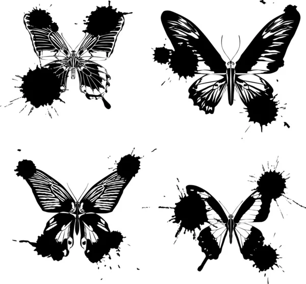 Fyra svarta fjärilar i blotting — Stock vektor