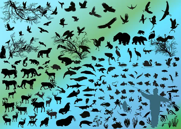 Différentes silhouettes d'animaux sur fond clair — Image vectorielle