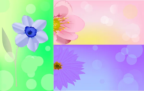 Three flowers on blur backgrounds — Stock Vector
