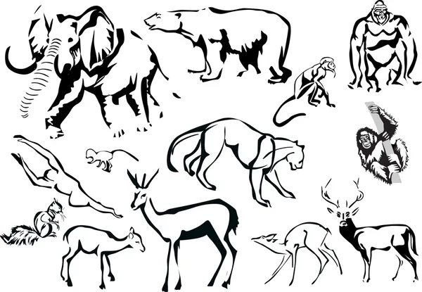Insamling av djur skisser — Stock vektor