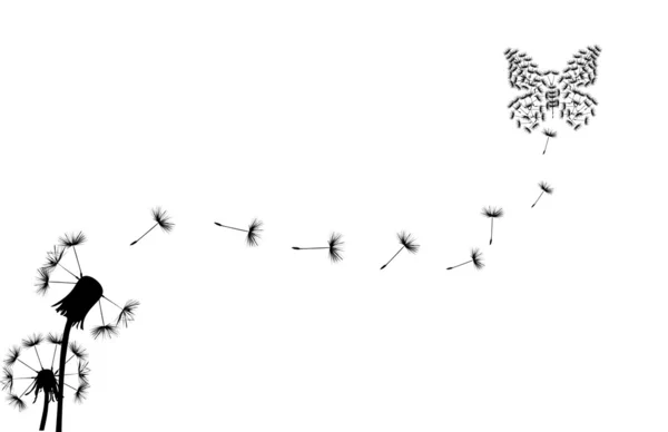 Papillon et deux pissenlits sur blanc — Image vectorielle