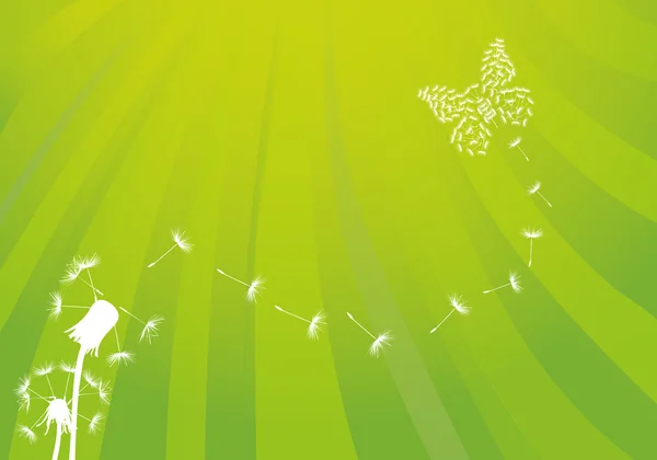 Deux pissenlits et papillon sur vert — Image vectorielle