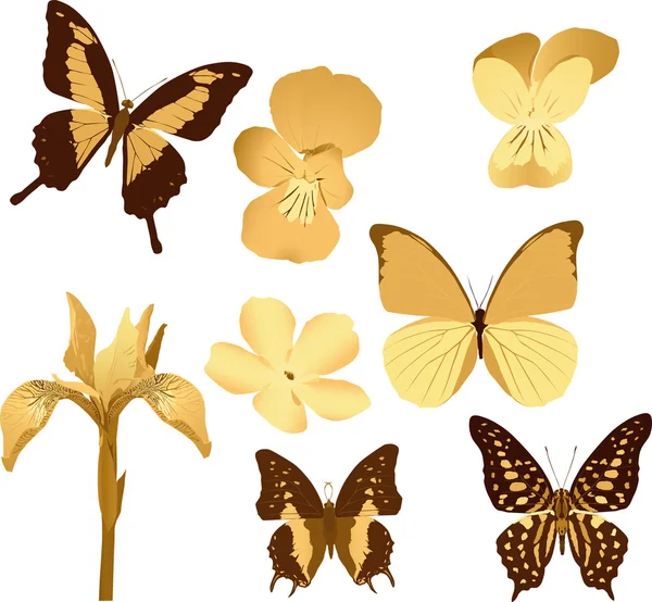 Sada žlutooranžové motýli a květiny — Stockový vektor