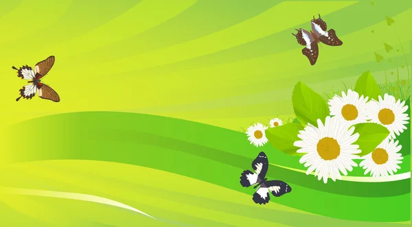 Camomilles blanches et papillons en illustration verte — Image vectorielle