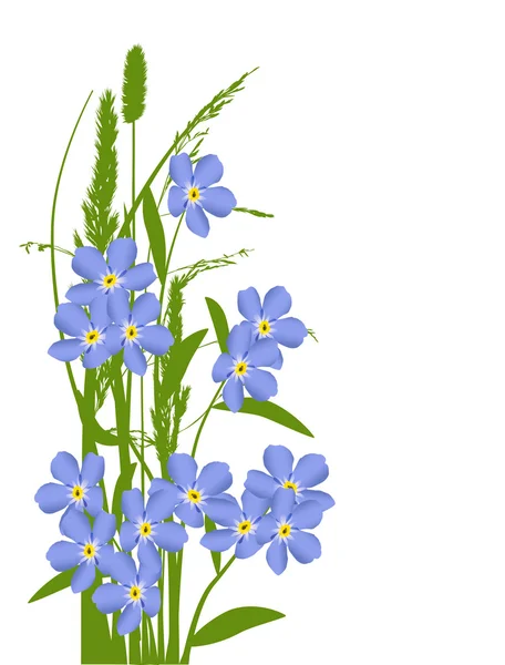 Yeşil çimenlerin üzerinde beyaz küçük mavi çiçekler — Stok Vektör