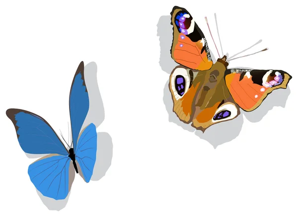 Twee vlinders met schaduwen — Stockvector