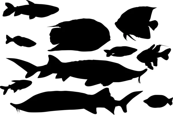 Set of ten fish silhouettes — Stock Vector
