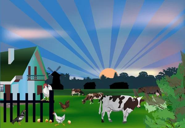 Cows and birds near house — Stock Vector