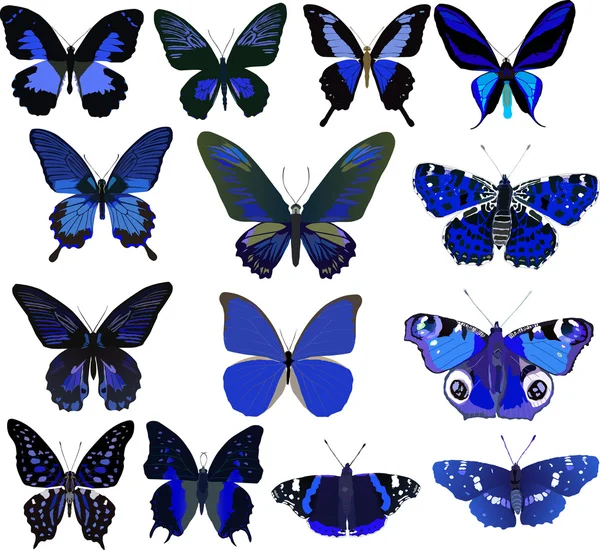 Fourteen blue butterflies isolated on white — Stock Vector