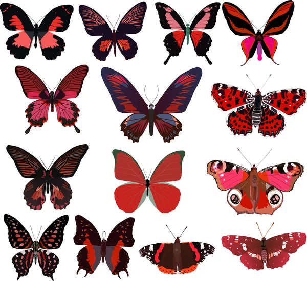 Fourteen red butterflies isolated on white — Stock Vector