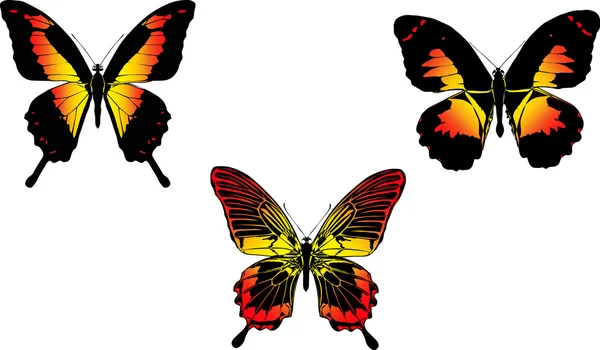3 つの赤と黄色の蝶 — ストックベクタ