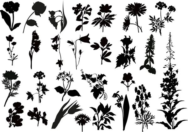 黒花のシルエットのコレクション — ストックベクタ