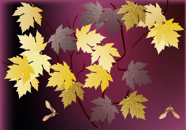 Giallo caduta acero foglie illustrazione — Vettoriale Stock